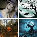 halloween hd wallpapers android application logo